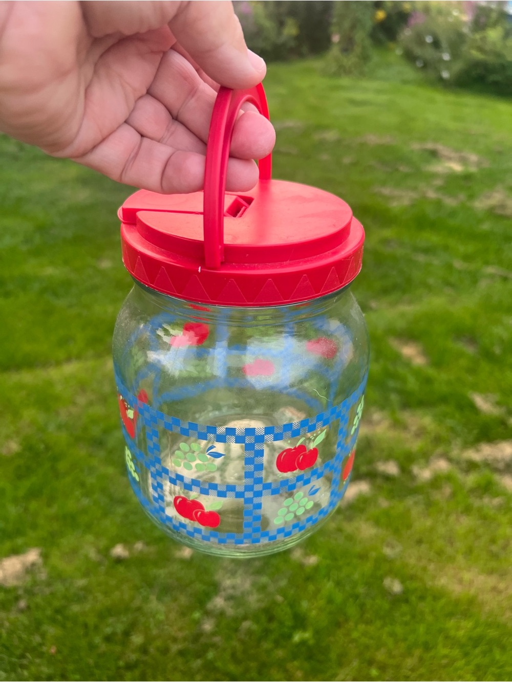 Vintage Red-Handled Fruit Pattern Glass Jar